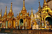 Yangon Myanmar. Shwedagon Pagoda (the Golden Stupa).  